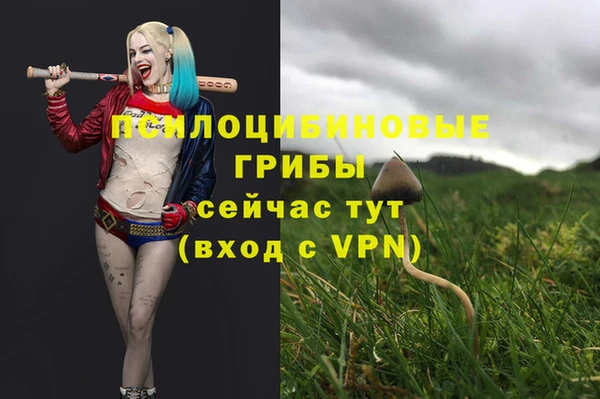 стафф Арсеньев