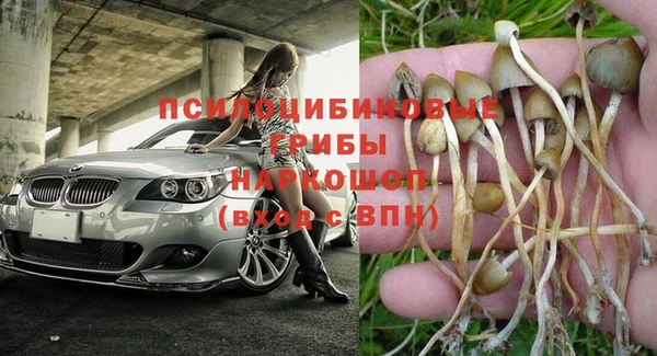 стафф Арсеньев